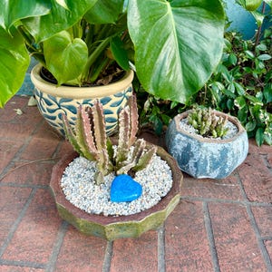 Julie added a photo of their purchase