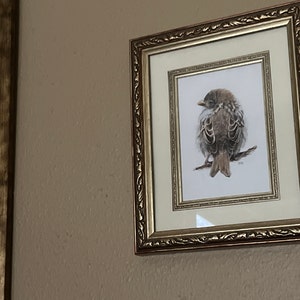 Bobette ha añadido una foto de su compra