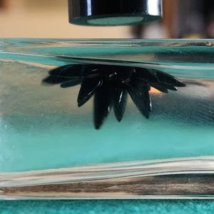 Dusty added a photo of their purchase