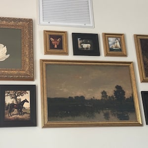 Chasiti added a photo of their purchase