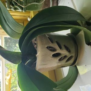 Layne added a photo of their purchase