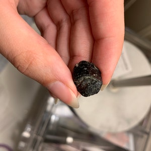 Hannah added a photo of their purchase