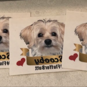 Nancy added a photo of their purchase