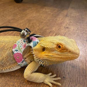 Amanda added a photo of their purchase