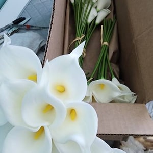 Linda added a photo of their purchase