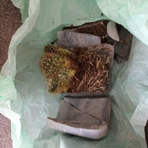 Jay added a photo of their purchase