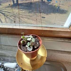 Kelly added a photo of their purchase
