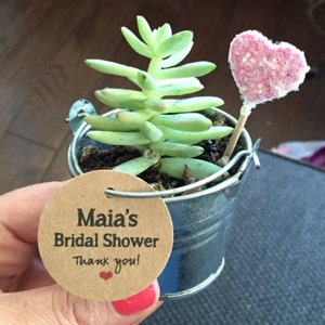 Hilary added a photo of their purchase