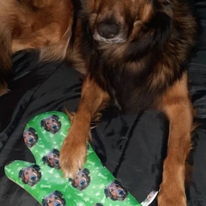 Sterling added a photo of their purchase