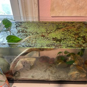 Izzy added a photo of their purchase