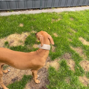 neigefind added a photo of their purchase