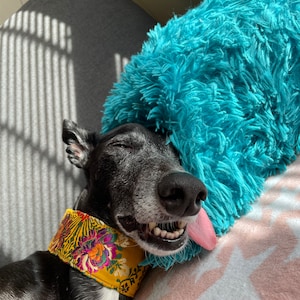 Chloe ha aggiunto una foto del proprio acquisto