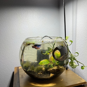 Natasha added a photo of their purchase
