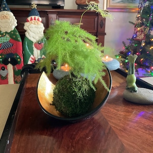 Gwen ha aggiunto una foto del proprio acquisto