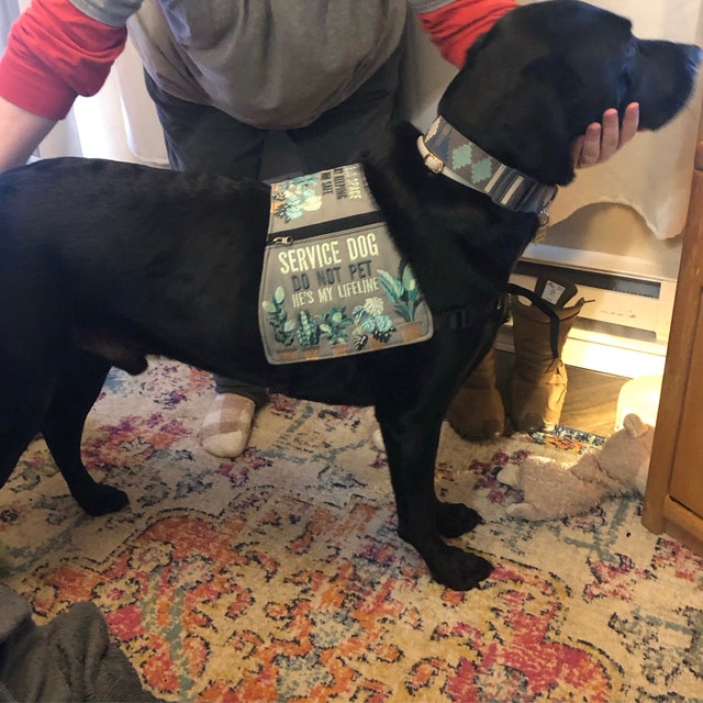 Service dog cheap vests etsy