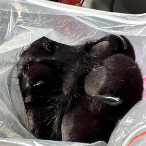 Bug added a photo of their purchase