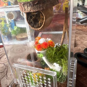 Mara added a photo of their purchase