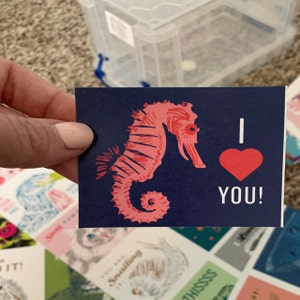 Erin added a photo of their purchase