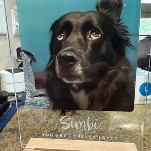 Emma added a photo of their purchase