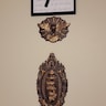 Reviewer's image