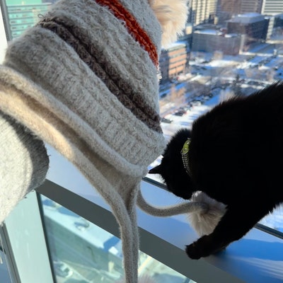 Cute Cat Ears Hat Scarf Gloves Warmer