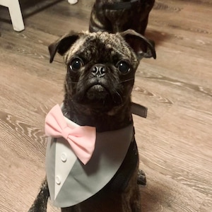 Sharon ha añadido una foto de su compra