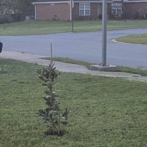 Alan added a photo of their purchase