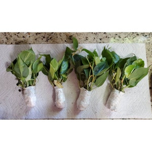 Terri Taylor added a photo of their purchase