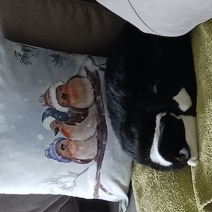 Diane added a photo of their purchase