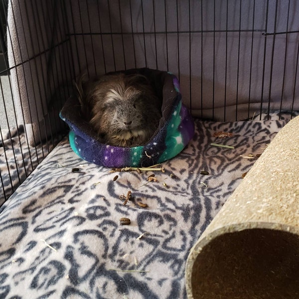 View of Guinea Pig Fleece Cage Liners for Small Pets, Oxbow Cage 18