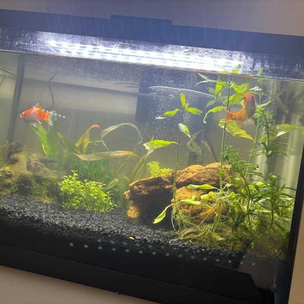 Gallery image with a fresh perspective