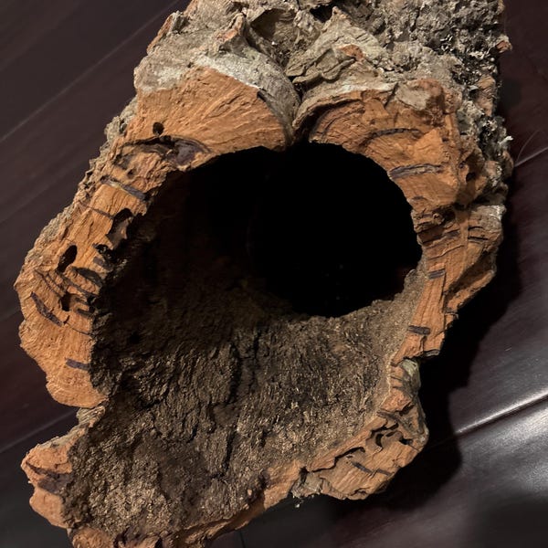 Virgin Cork Bark Rounds: Natural Terrarium & Reptile Habitat Decor - Etsy