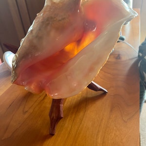 Kathleen heeft een foto van de aankoop toegevoegd