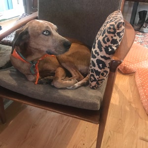 Ginger added a photo of their purchase