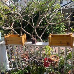 Marcelle added a photo of their purchase