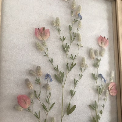 Large Pressed Flower Frame 10.5x12.5 Framed Botanicals Real Pressed ...