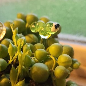 Danielle added a photo of their purchase