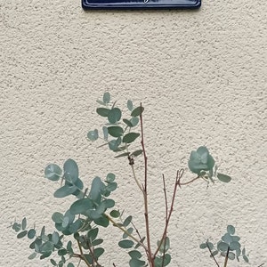 Comprador de Etsy ha añadido una foto de su compra