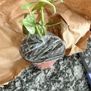 Kristin a ajouté une photo de son achat