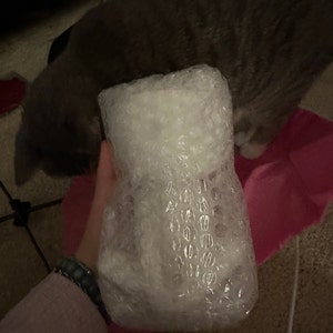 Lilith added a photo of their purchase