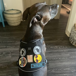 angela added a photo of their purchase