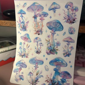 Silvia ha añadido una foto de su compra