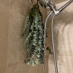 Polly added a photo of their purchase