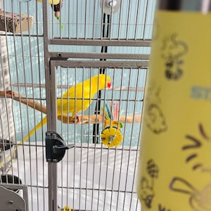 Lisa added a photo of their purchase