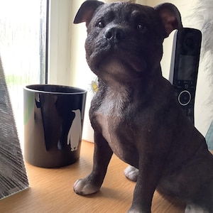 Lin ha añadido una foto de su compra