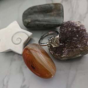 Kim added a photo of their purchase