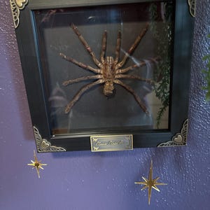 Etsy-koper heeft een foto van de aankoop toegevoegd