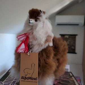 Miranda heeft een foto van de aankoop toegevoegd