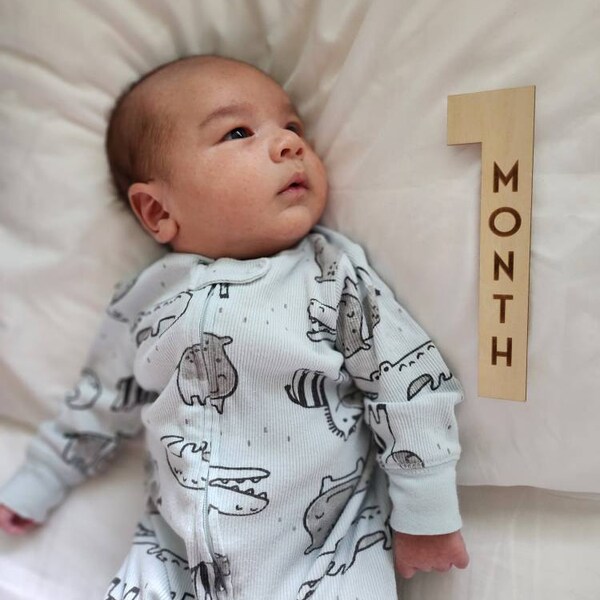 Baby Milestone Cards - Monthly Baby Photo Prop - Baby Shower Gift ...