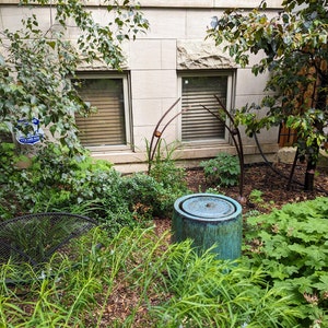 Jack adicionaram uma foto da sua compra